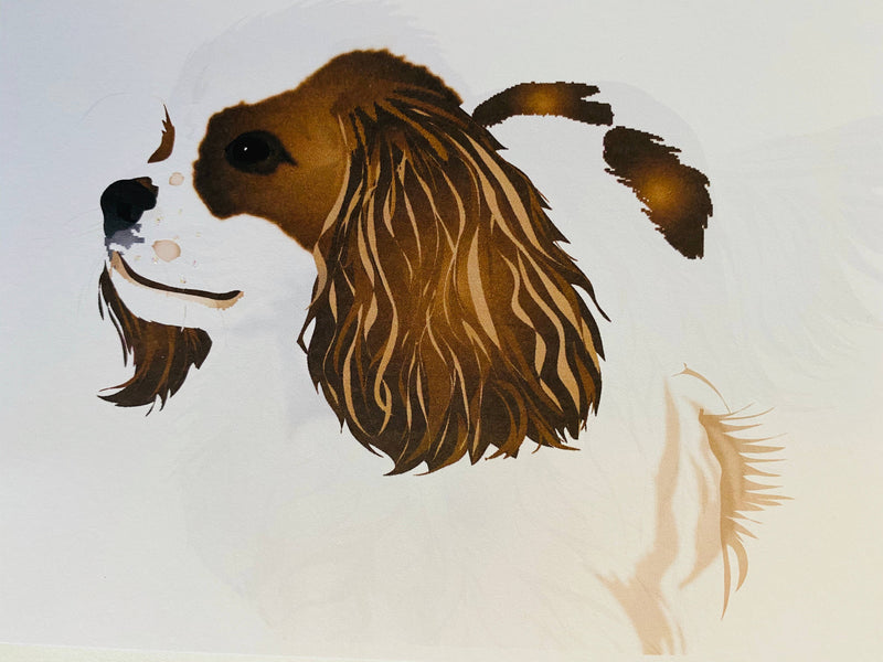 Cavalier Dog