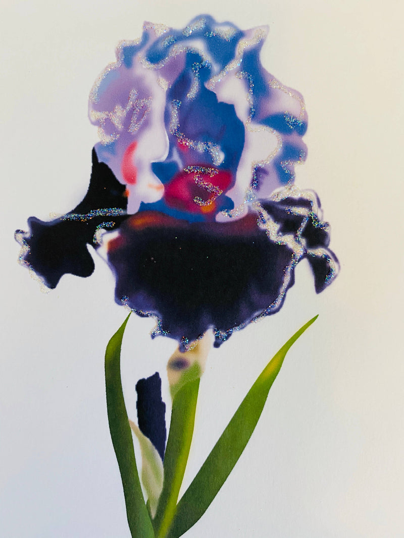 Bearded Iris Flower, Everyday Card