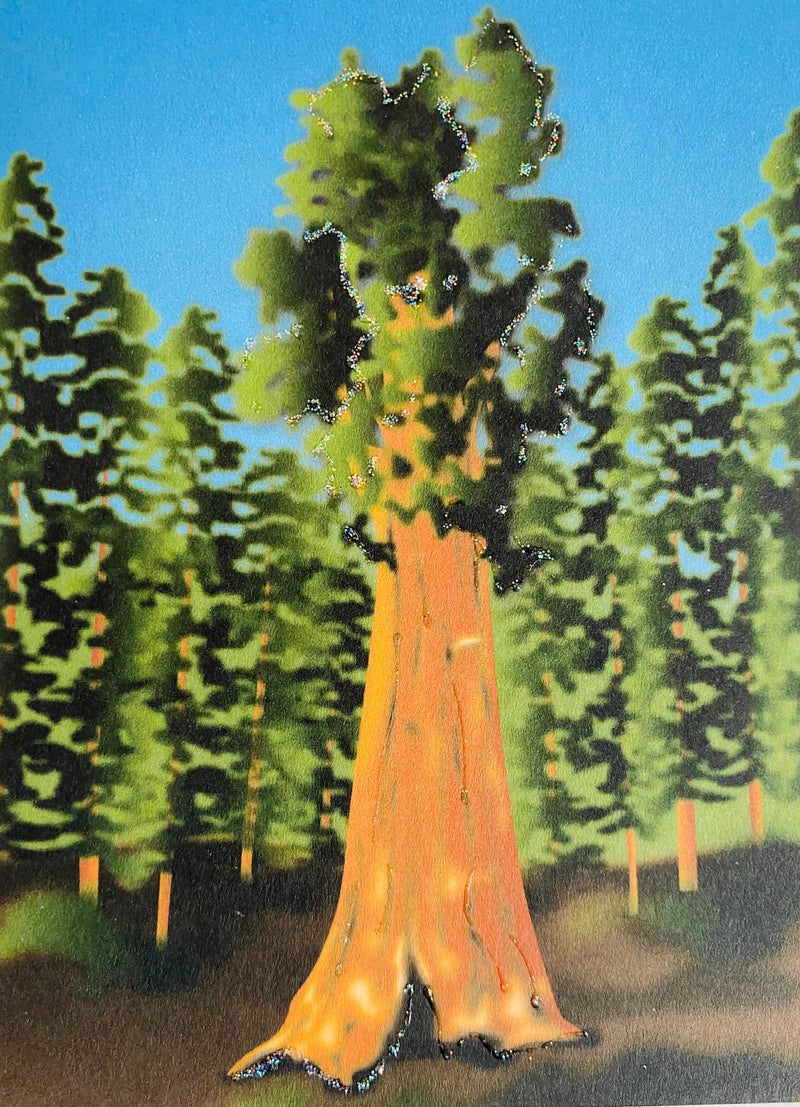 Sequoia Trees