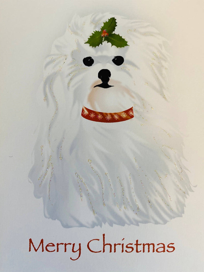 Christmas Maltese Dog, Holiday Card