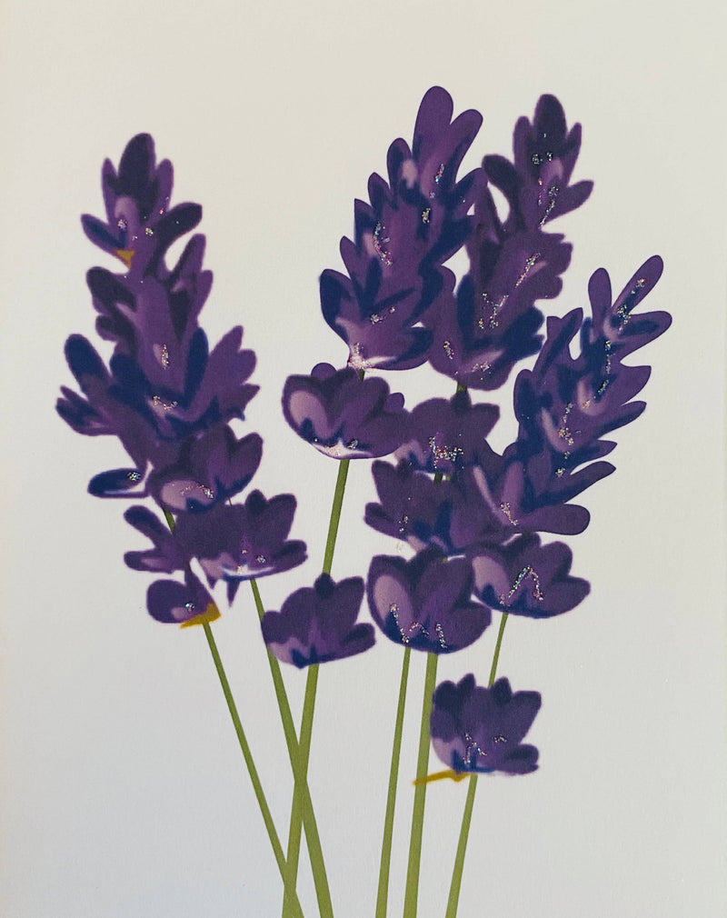 French Lavender Flower