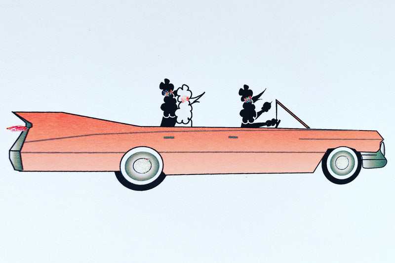 Poodles in Car