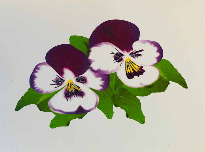 Pansy Flower