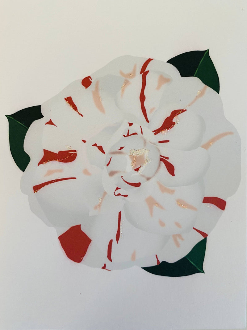 Striped Camelia