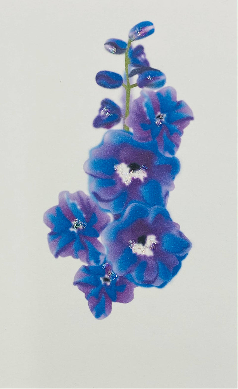Delphinium - Gift Enclosure Cards