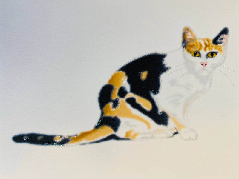 Calico Cat Boxed Note Cards