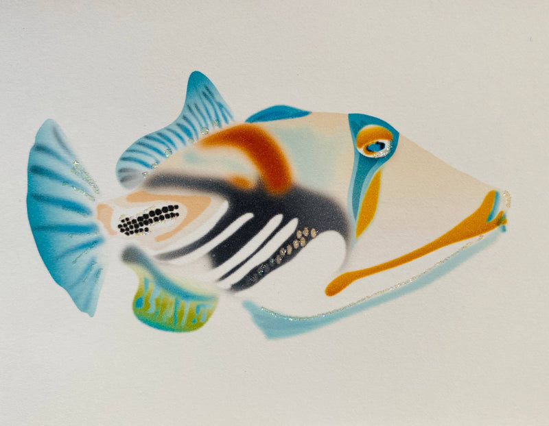 Picasso Triggerfish