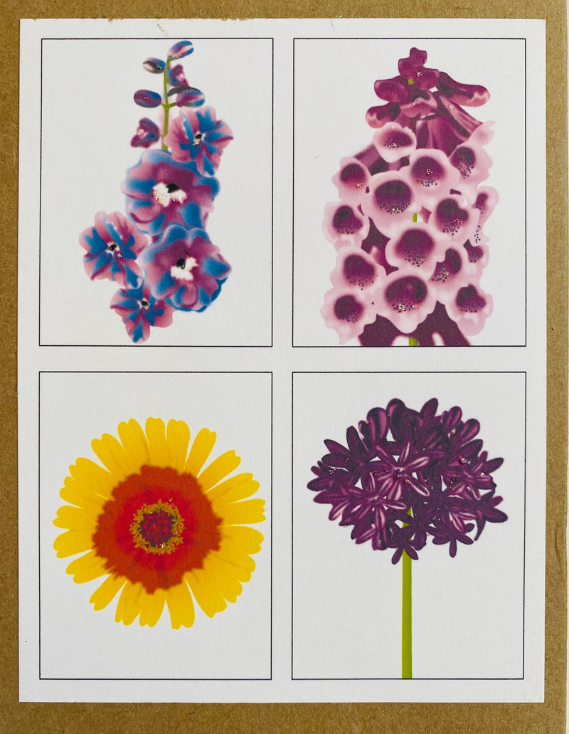 Mixed Box of Summer Flowers