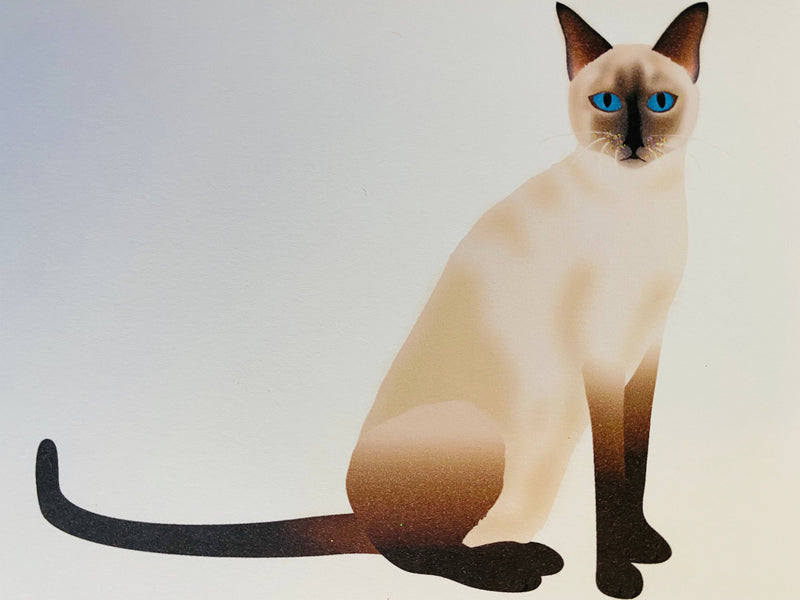 Siamese Cat