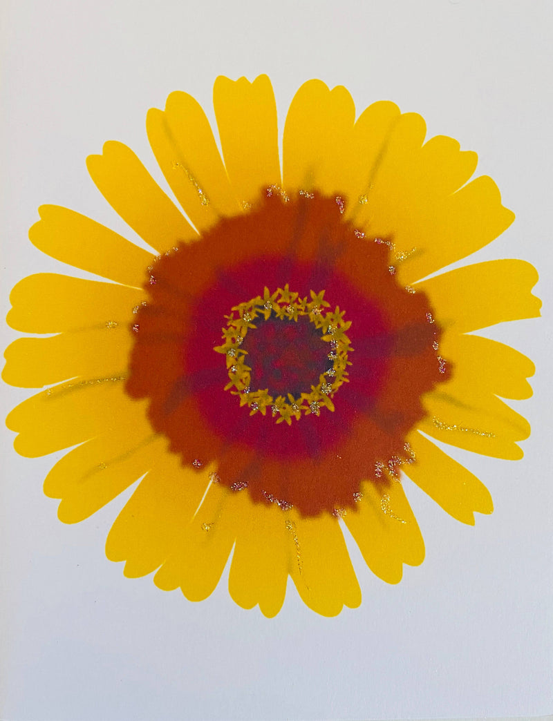 Pink + Orange Zinnia Flower