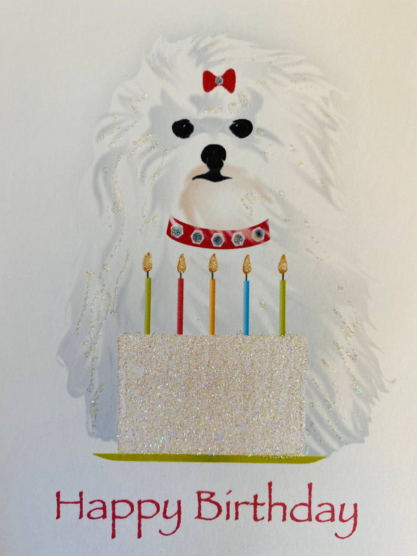 Maltese Dog with Cake