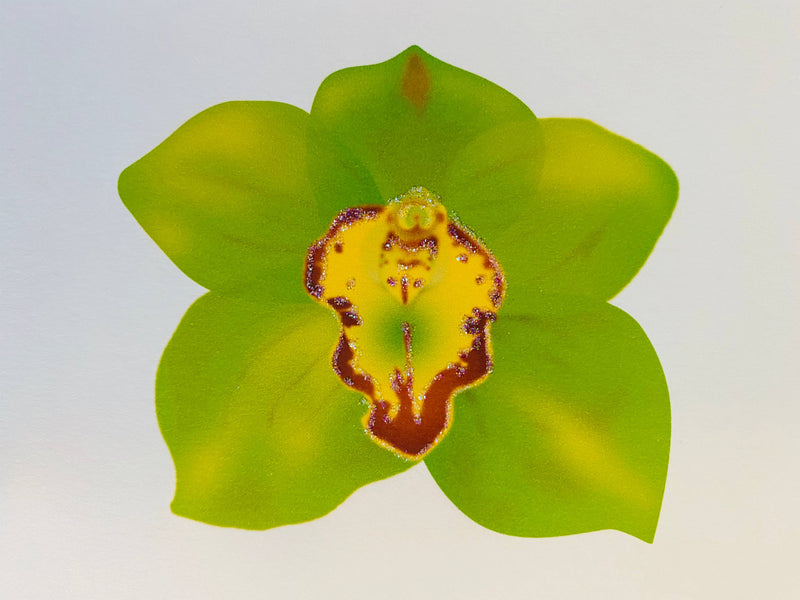 Cymbidium Orchid Flower, Everyday Card