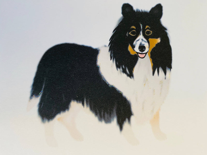 Sheltie Dog
