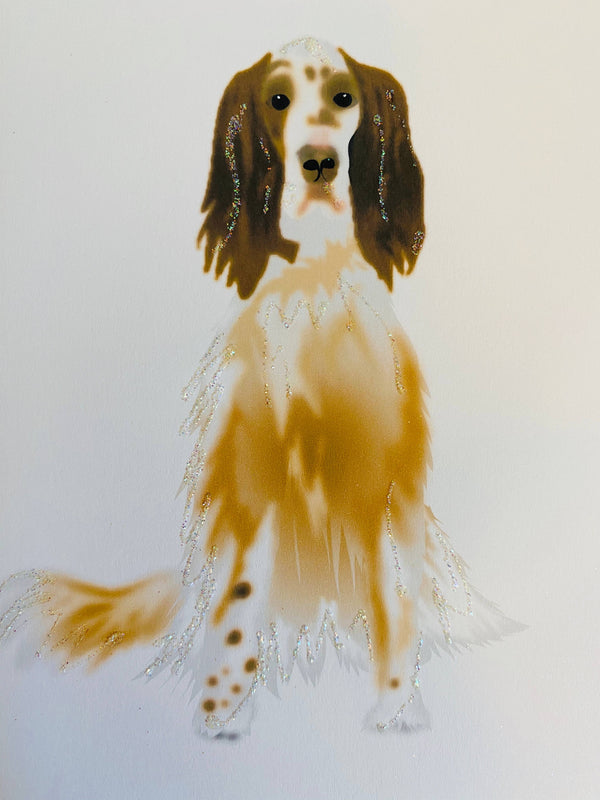 English Setter Dog