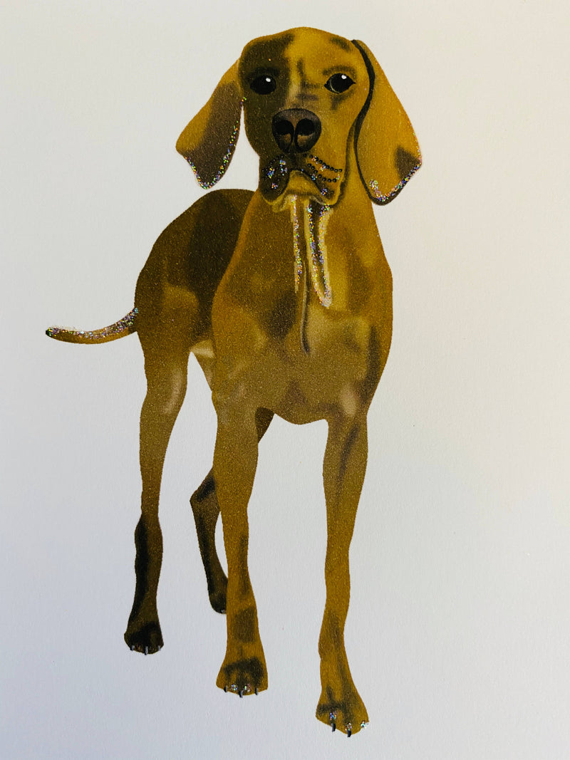 Vizsla Dog
