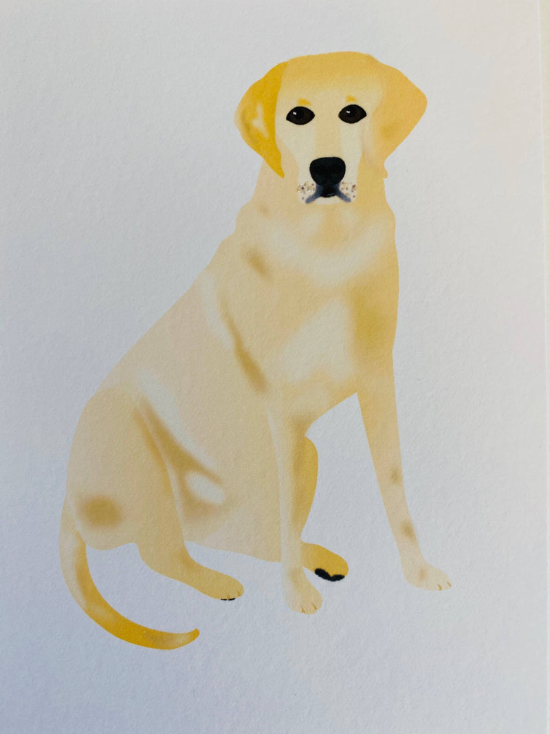 Yellow Sitting Lab Dog