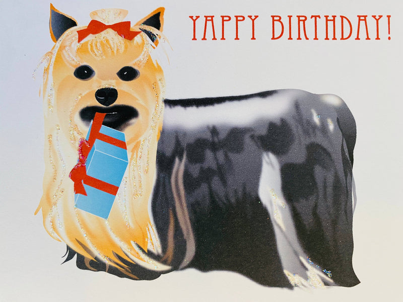 Birthday Yorkie Dog