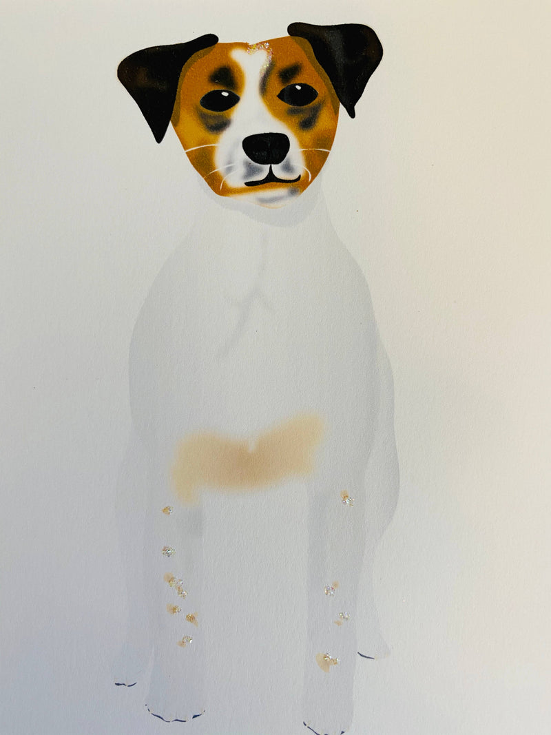 Jack Russell Dog