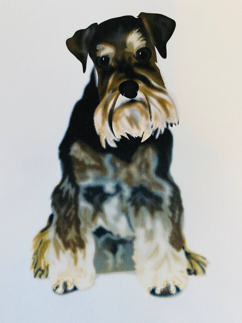 Schnauzer Dog