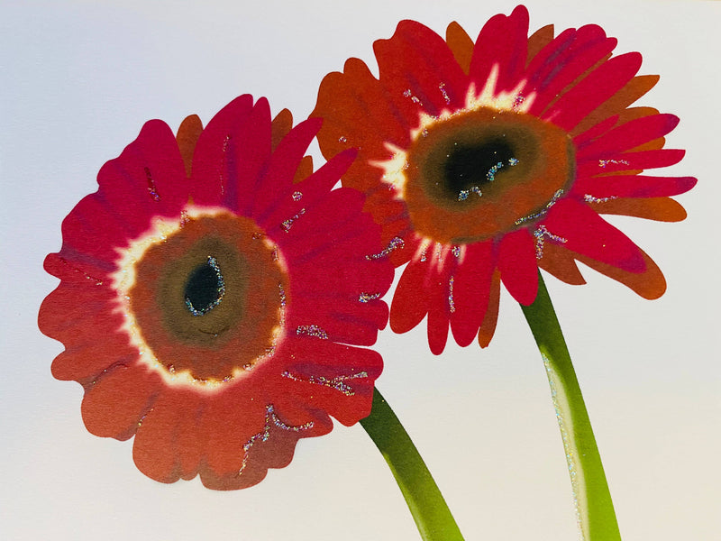 Gerber Daisy , Everyday Card