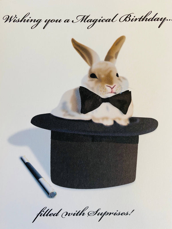 Rabbit in Hat