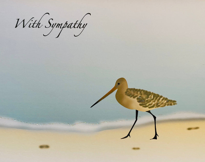 Sand Piper Bird