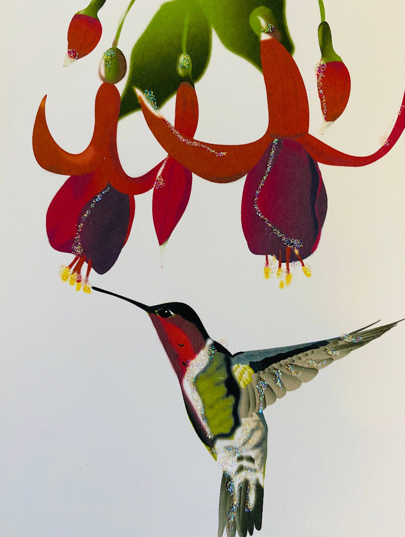 Fuchsia and Humming Bird , Everyday Card