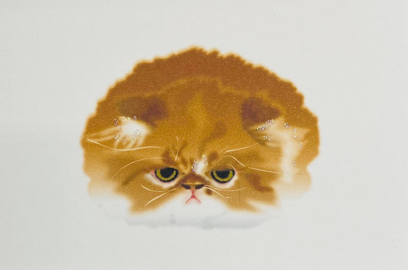 Pouting Persian Cat - Gift Enclosure Cards