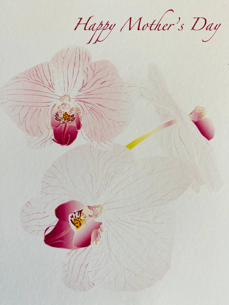 Catalaya Orchid