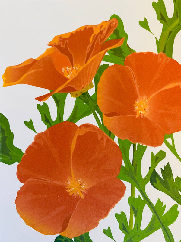 California Poppy 2, Everyday Card