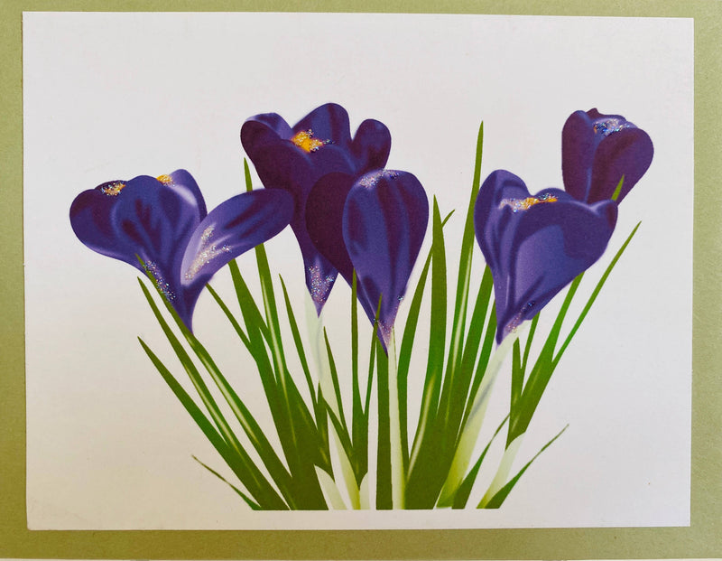Crocus