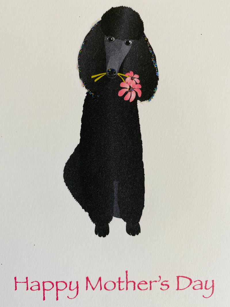Black Sitting Poodle with Flowers