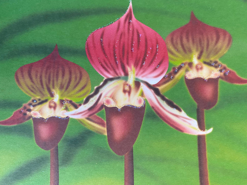 Lady Slipper Flower, Everyday Card