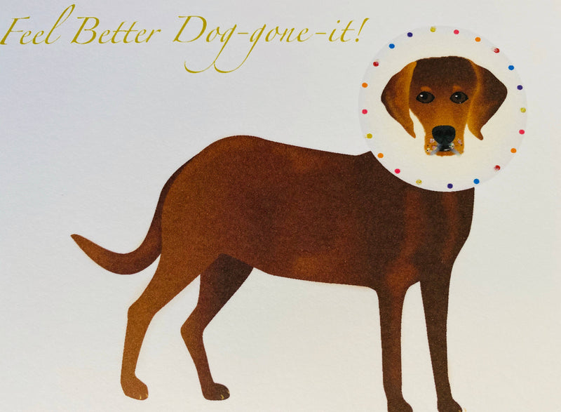 Lab with Collar Dog Get Well Card