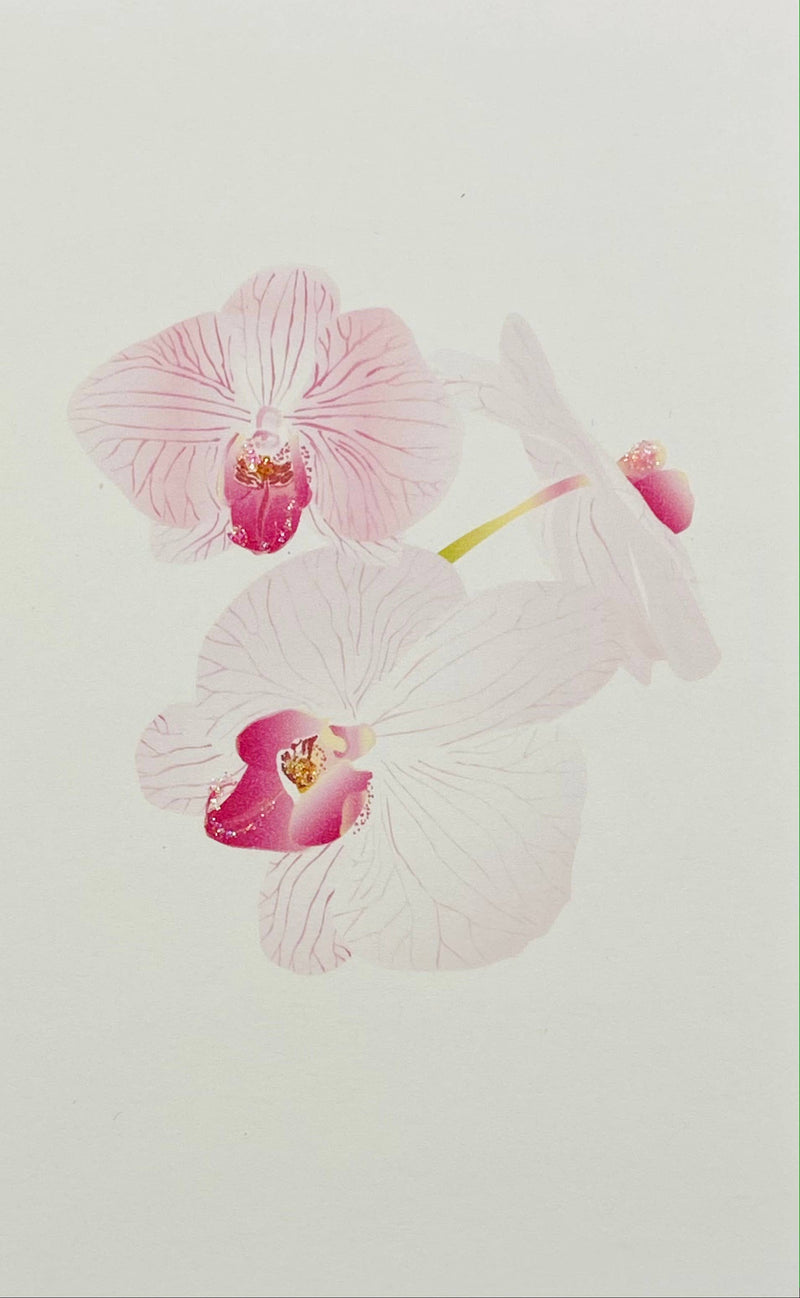 Orchid - Gift Enclosure Cards