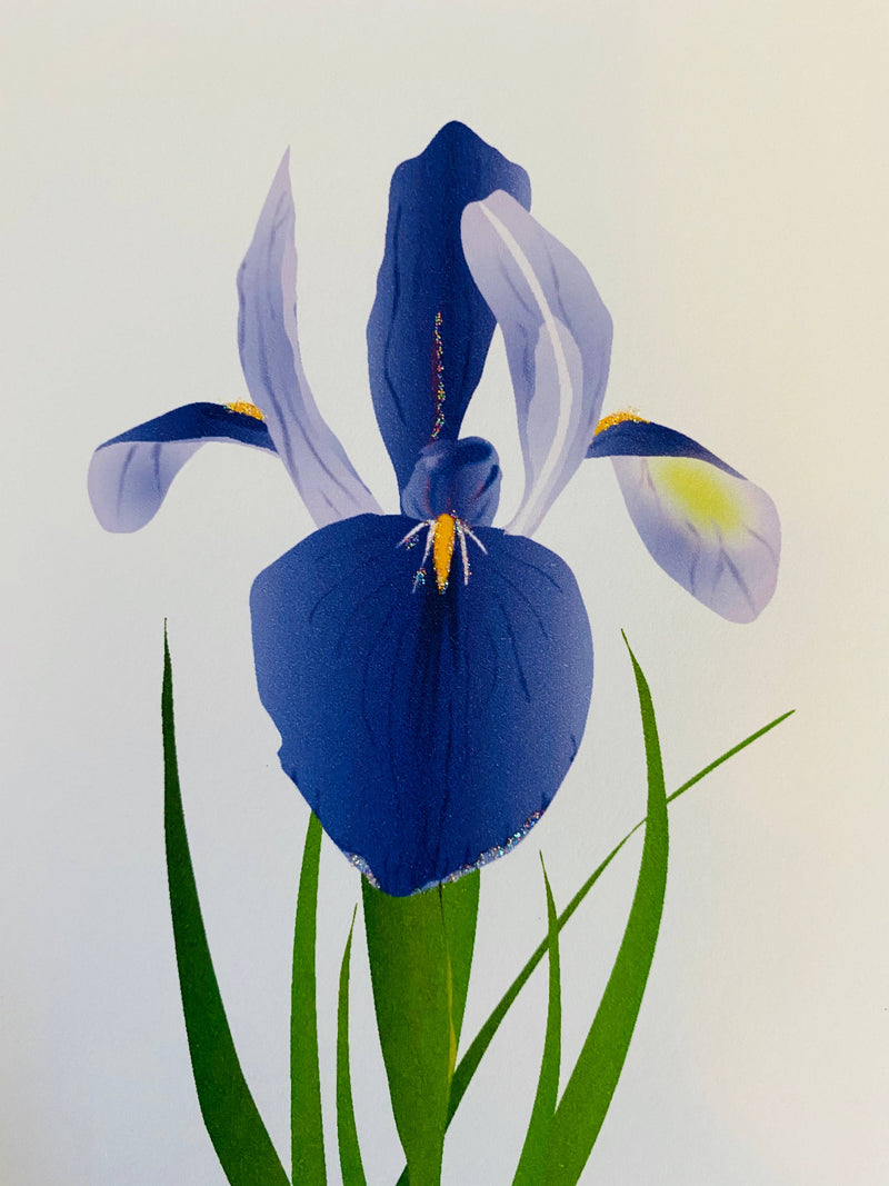 Iris Flower, Everyday Card