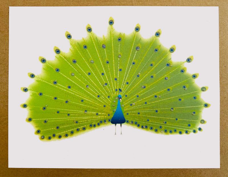 Peacock Notecards Boxed