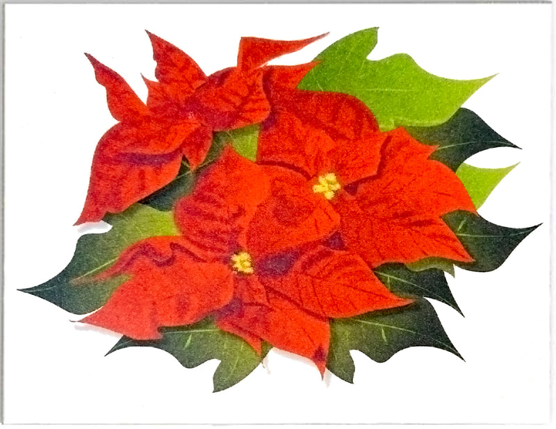 Poinsettia Holiday and Christmas Cards