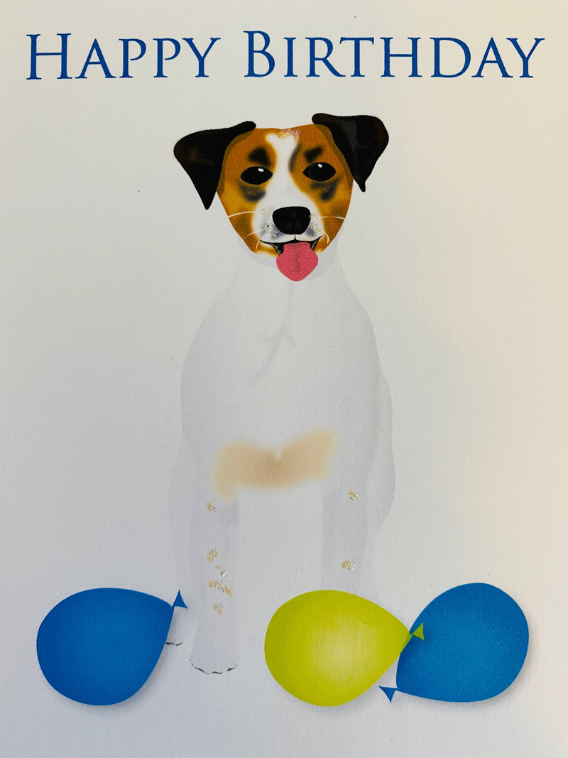 Jack Russell with Balloons