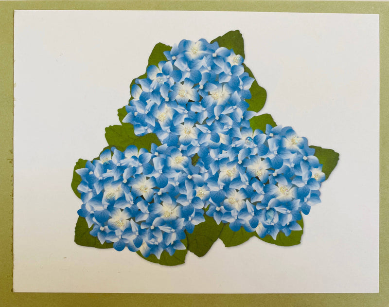 Blue Hydrangea Boxed Note
