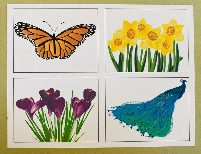 Mixed Box Monarch, Daffodils, Crocus, Peacock Profile