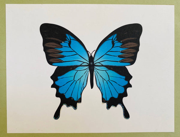 Blue Butterfly