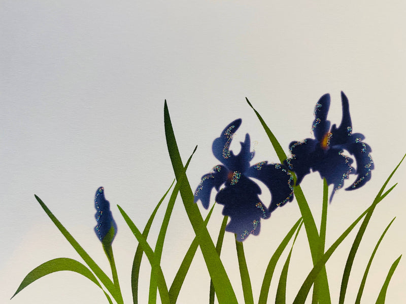 Japanese Iris, Everyday Card