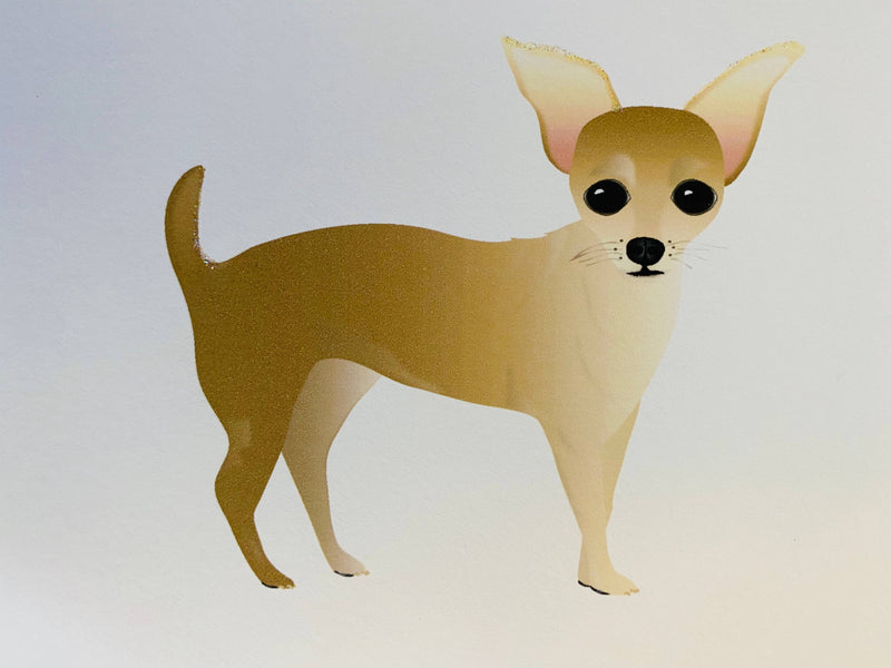 Chihuahua Dog