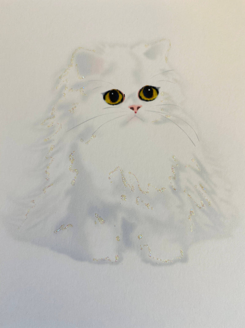 Persian White Cat