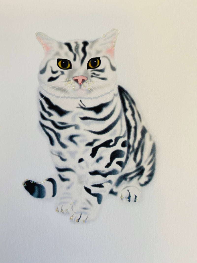 Tabby Cat