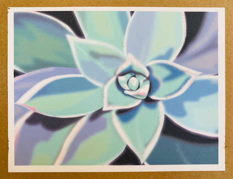 Blue-Green Succulent