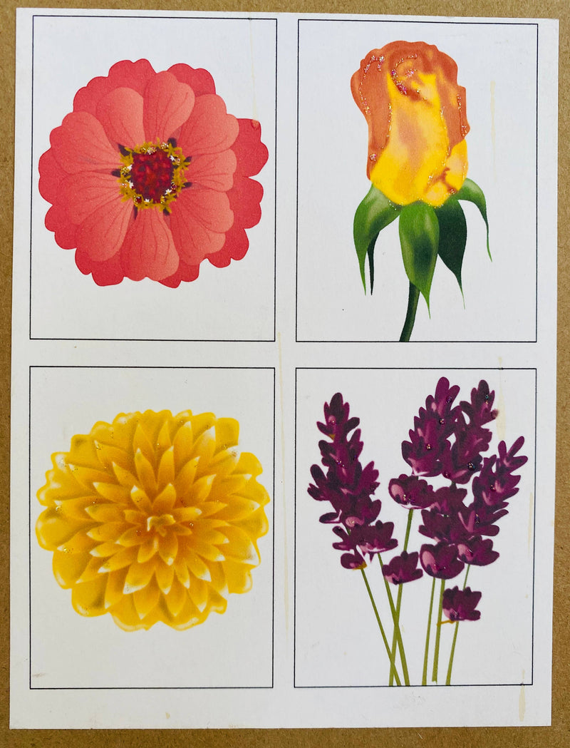 Mixed Box Flowers: Dalia, Rose, Zinnia, French Lavender