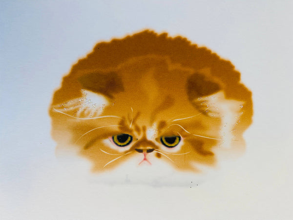 Pouting Persian Cat