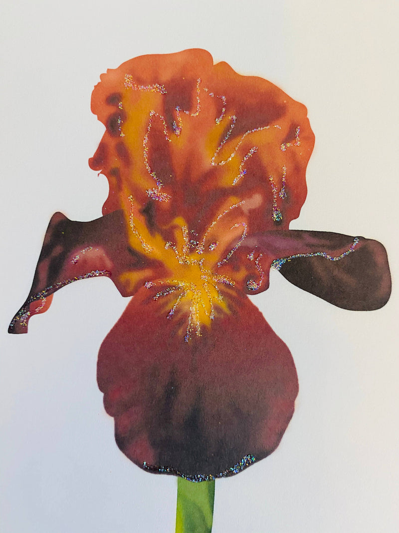Mauve Iris Flower, Everyday Card